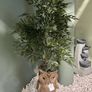 Artificial Plants Image 10