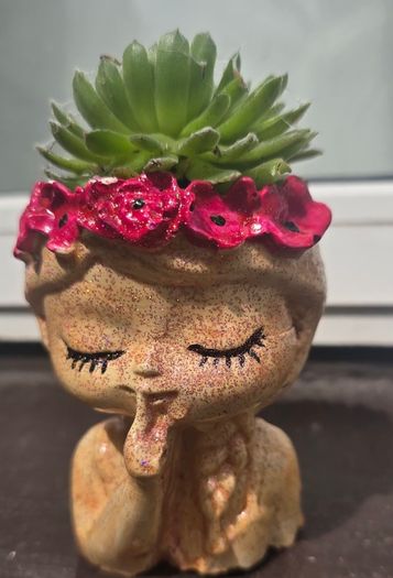 small idoor plant