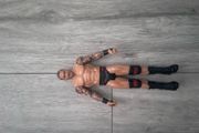 WWE Figures