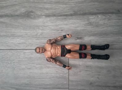 WWE Figures