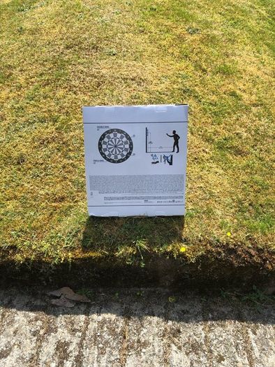 Dart Board