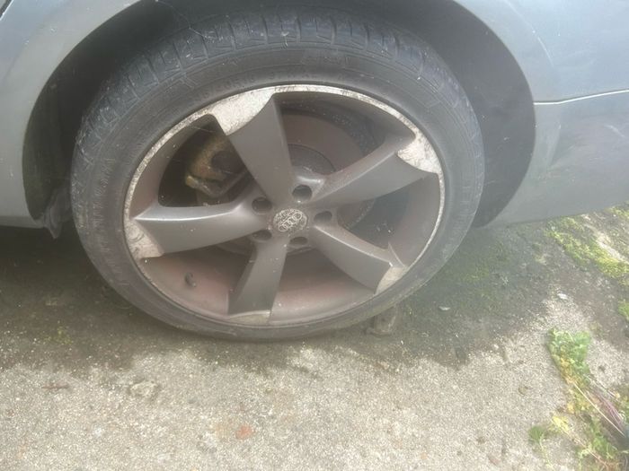 audi alloys