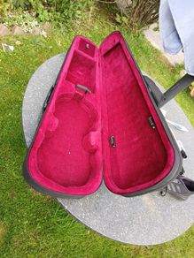 violin case