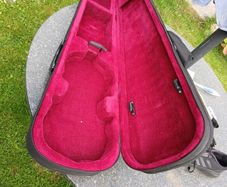 violin case