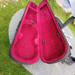 violin case