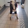 Rocking Horse - Beautiful Item - Great for Christmas! Image 3