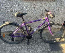 Frog 73 Purple Hybrid Bike (8 Speed, 26" Wheels, Kids Bike)