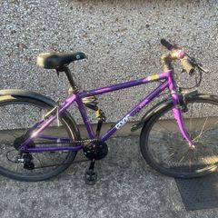 Frog 73 Purple Hybrid Bike (8 Speed, 26" Wheels, Kids Bike)