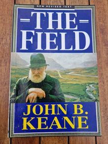 the field by john b keane