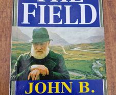 the field by john b keane