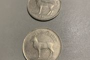 One Irish Pound