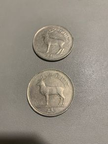 One Irish Pound