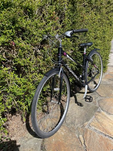 Ridgeback ladies bike