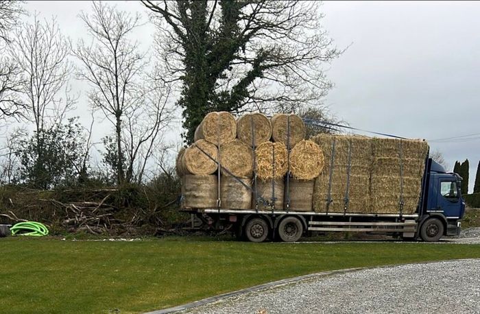 Straw and Hay