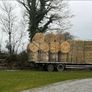 Straw and Hay Image 4
