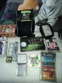Golf shoe bag