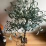 Olive tree with lights Image 2