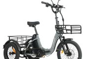 Free Delivery on Electric Tricycle Trike Bikes Cargo Bike