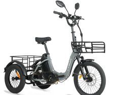 Free Delivery on Electric Tricycle Trike Bikes Cargo Bike