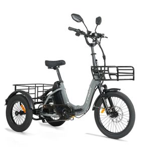 Free Delivery on Electric Tricycle Trike Bikes Cargo Bike