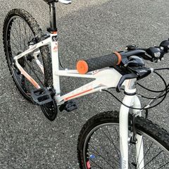 Raleigh Talus 1.0 Lds