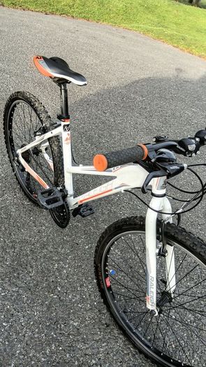 Raleigh Talus 1.0 Lds