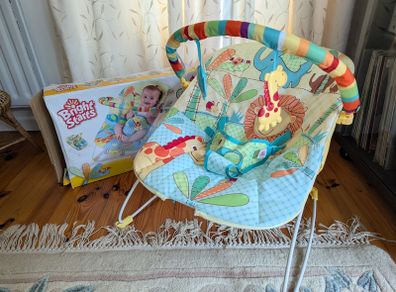Bright Starts - Bouncer / Cradling Seat