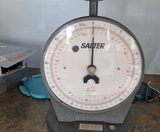 weighing scales