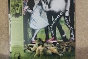 Ariel Pink Oddities Sodomies vol 1 2lp