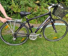 Ladies Trek bike for sale