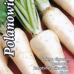 (C) Chicory Palanowicka seeds 1g (124657)