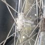Mavic Road Bicycle Wheel with Tyre + Tube Image 3