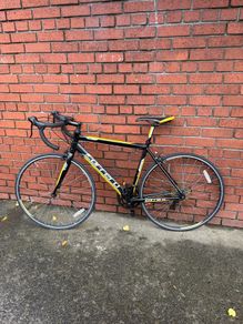 carrera road bike