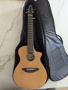 Breedlove Passport C250/CMe-T