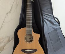 Breedlove Passport C250/CMe-T