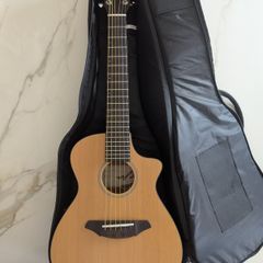 Breedlove Passport C250/CMe-T