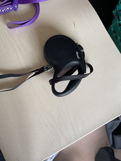 dog leads x3