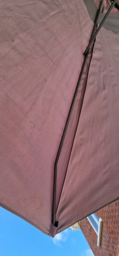 parasol
