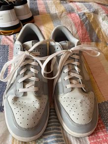 Nike Dunk runners