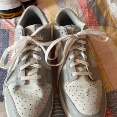 Nike Dunk runners