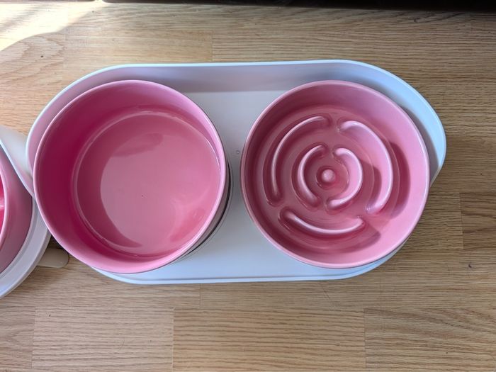 Pair of Elevated Ceramic Dog Bowl Sets with Slow Feeders