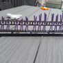 24 Port CAT6 Patch Panel Image 2
