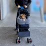 Dogs Pram Image 3