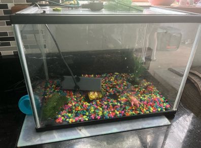 fish tank