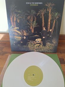 Echo and the Bunnymen - Evergreen - LTD White Vinyl
