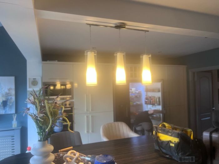 lStunninh Ceiling Light