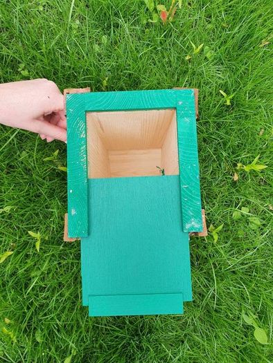 bird box
