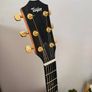 TAYLOR 414ce Studio Sunset Blvd  SEB - New Model Image 8