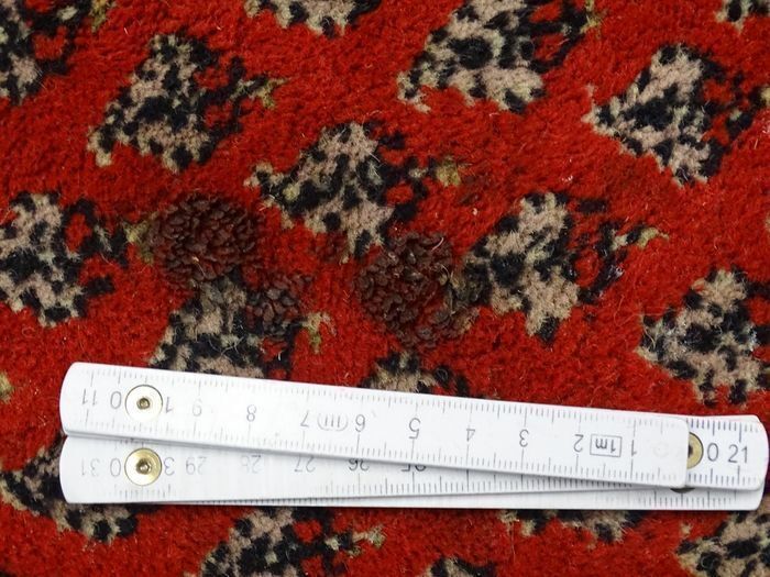 P.ersian Rug Sarok 460x385cm (WSR)