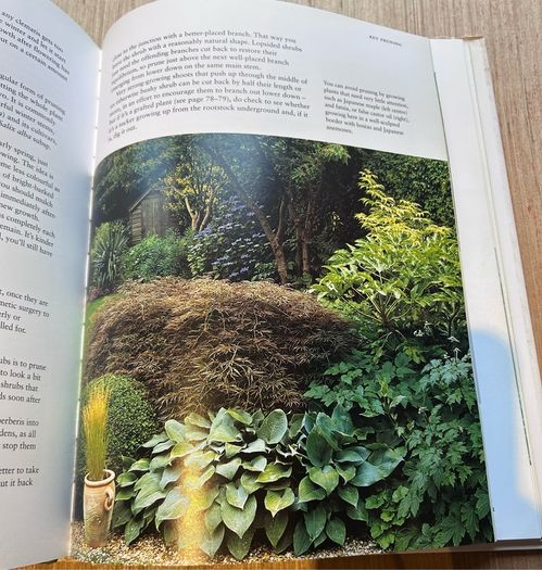 How to Be a Gardener - Book One Back to Basics